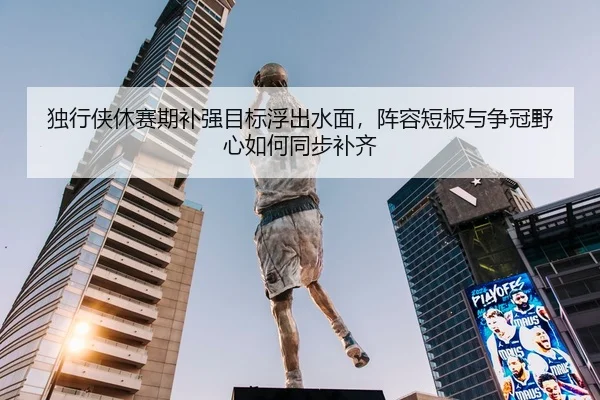 独行侠休赛期补强目标浮出水面，阵容短板与争冠野心如何同步补齐